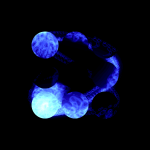 A day in Asia 20210123 CompoundDigitalMicroscope version