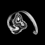 A day in Asia 20210124