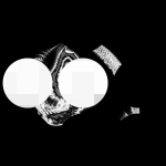 A day in Asia 20210124 CompoundDigitalMicroscope version 2