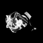 A day in Asia 20210124 CompoundDigitalMicroscope version