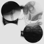 A day in Asia 20210125 CompoundDigitalMicroscope version