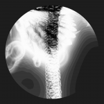 A day in Asia 20210126 DigitalMicroscope version