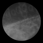 A day in Asia 20210127 DigitalMicroscope version