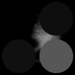 A day in Asia 20210128 CompoundDigitalMicroscope version 2