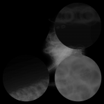 A day in Asia 20210128 DigitalMicroscope version