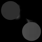 A day in Asia 20210129 CompoundDigitalMicroscope version 2