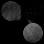 A day in Asia 20210129 CompoundDigitalMicroscope version