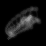 A day in Asia 20210130