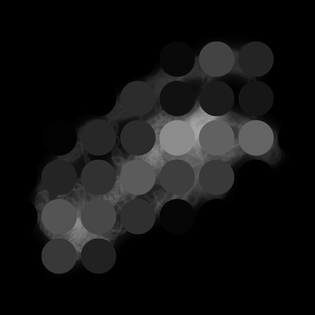 A day in Asia 20210130 CompoundDigitalMicroscope version 2