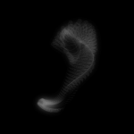 A day in Asia 20210131