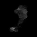 A day in Asia 20210131 CompoundDigitalMicroscope version