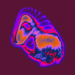 A day in Asia 20210202