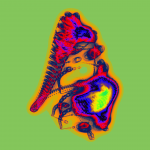 A day in Asia 20210209