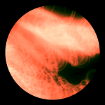 A day in Asia 20210214 DigitalMicroscope version