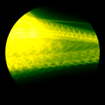 A day in Asia 20210220 DigitalMicroscope version