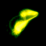 A day in Asia 20210221