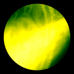 A day in Asia 20210221 DigitalMicroscope version