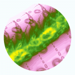 A day in Asia 20210223 DigitalMicroscope version