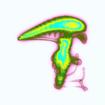 A day in Asia 20210225