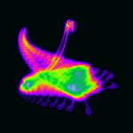 A day in Asia 20210301