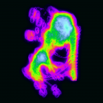 A day in Asia 20210303