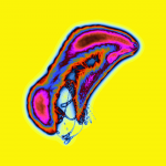 A day in Asia 20210304