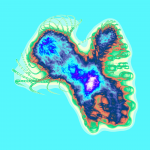 A day in Asia 20210307