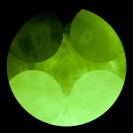 A day in Asia 20210313 RecursiveCompoundDigitalMicroscope version