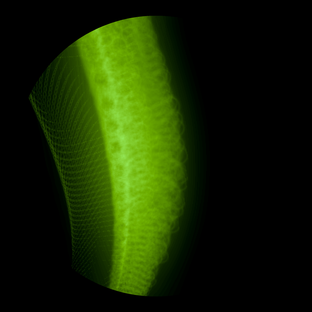 A day in Asia 20210315 DigitalMicroscope version