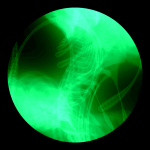 A day in Asia 20210316 DigitalMicroscope version