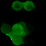 A day in Asia 20210317 RecursiveCompoundDigitalMicroscope version