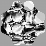 A day in Asia 20210331 RecursiveCompoundDigitalMicroscope version