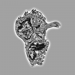 A day in Asia 20210401