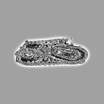 A day in Asia 20210402