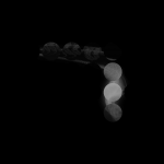 A day in Asia 20210404 CompoundDigitalMicroscope version