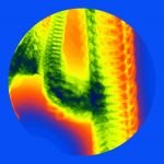 A day in Asia 20210407 DigitalMicroscope version