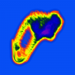 A day in Asia 20210408