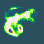 A day in Asia 20210412