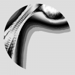 A day in Asia 20210421 DigitalMicroscope version