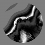 A day in Asia 20210423 DigitalMicroscope version