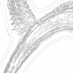 A day in Asia 202110110010