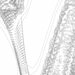 A day in Asia 202110131306