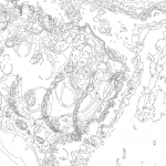 A day in Asia 202110151049