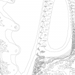 A day in Asia 202110201046