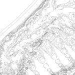 A day in Asia 202110261131