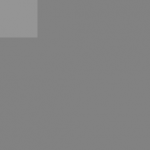 SellingLoose 479-224