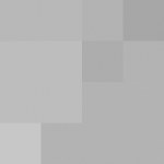 SellingLoose 479-230