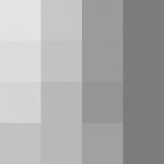 SellingLoose 479-234