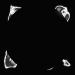 A day in Asia 20201222 DigitalMicroscope version