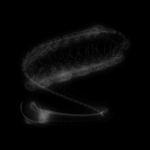 A day in Asia 20210513